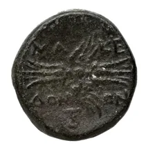 Bottiaei rev