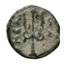 coin rev