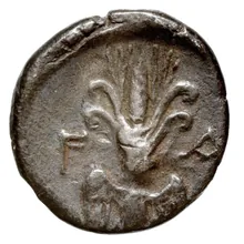 coin rev