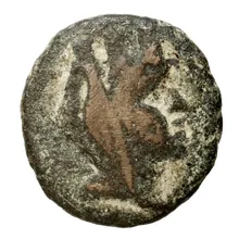 coin obv