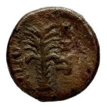 coin rev