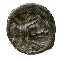 coin rev