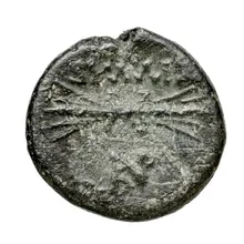 coin rev