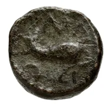 coin rev
