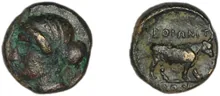 coin rev