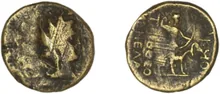 coin rev