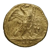 coin rev