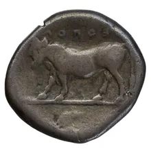 coin rev