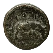 Bottiaei rev