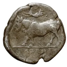 coin rev