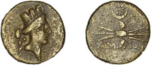 coin rev