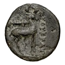 Bottiaei rev