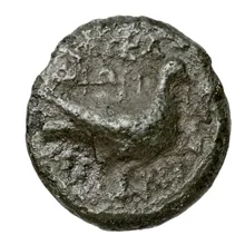 coin rev