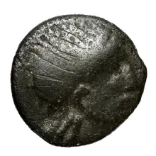 coin obv