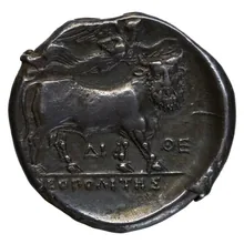 coin rev