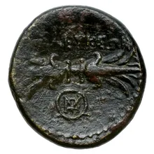 coin rev