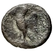 coin rev
