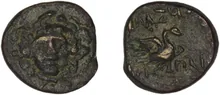 coin rev