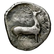 coin rev