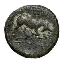 coin rev