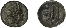 coin rev