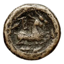 Bottiaei rev