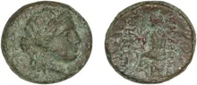 coin rev
