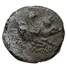 coin obv