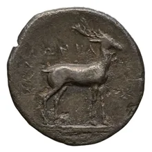 coin rev