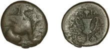 coin rev