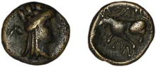coin rev