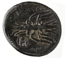 coin rev