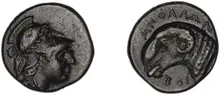 coin rev