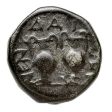 coin rev