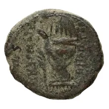 coin rev