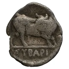 coin rev
