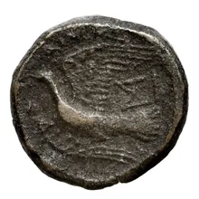 coin rev