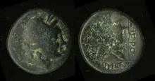 coin rev