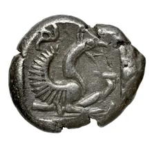 coin rev