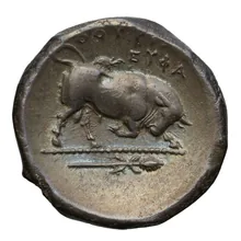 coin rev