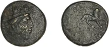 coin rev