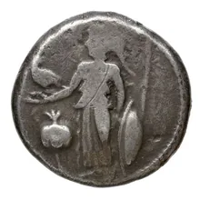 Peparethus Balcer 1967 I.1