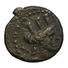 coin obv