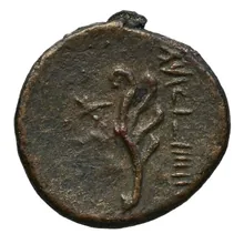 coin rev