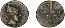 coin rev