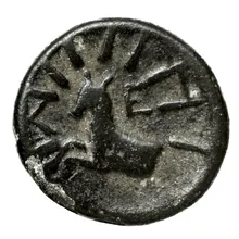 coin rev