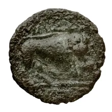 coin rev