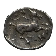 coin rev