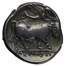 coin rev