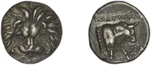 coin rev